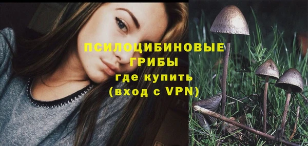 Альфа ПВП Алексеевка
