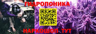 дурь Дубна