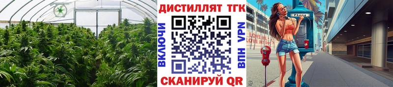 дарнет шоп  дарк нет клад  Дистиллят ТГК жижа  Лесосибирск 