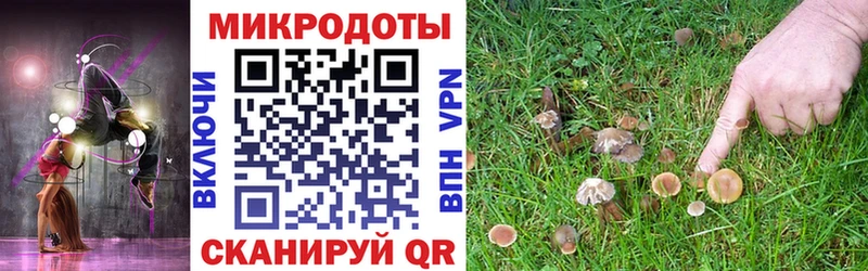 hydra tor  Лесосибирск  Галлюциногенные грибы мицелий 