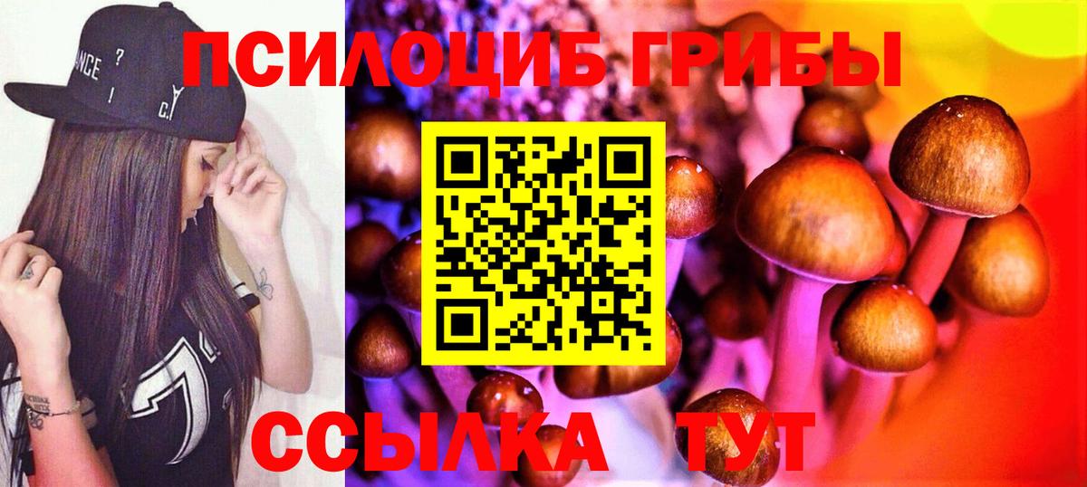Галлюциногенные грибы мухоморы Лесосибирск