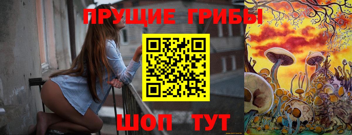 Лесосибирск  Псилоцибиновые грибы ЛСД  Вход с VPN  Псилоцибиновые грибы Psilocybe 