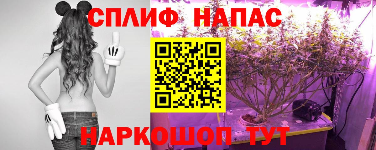 Каннабис семена  Каннабис гибрид  МАРИХУАНА THC 21%  Вход с VPN  Лесосибирск 